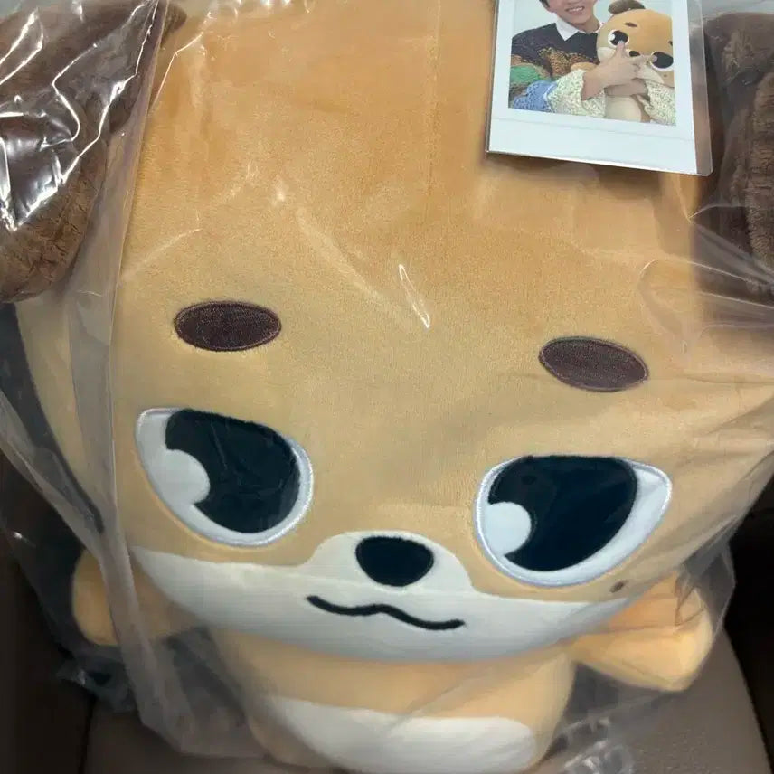 데니멀즈 돈 도운 인형