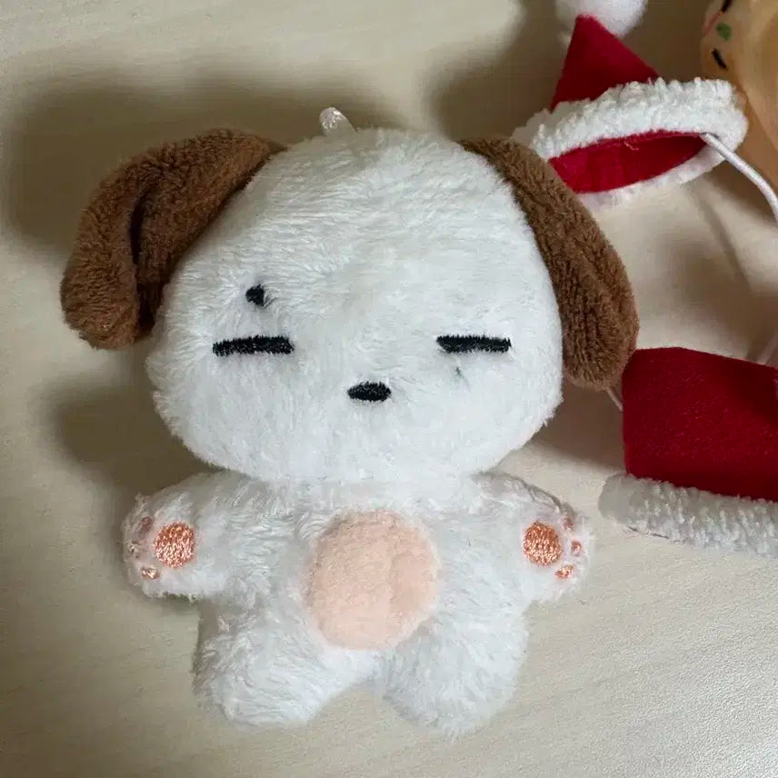 윤강쥐 옷포함 데이식스 윤도운 도운 인형 10cm