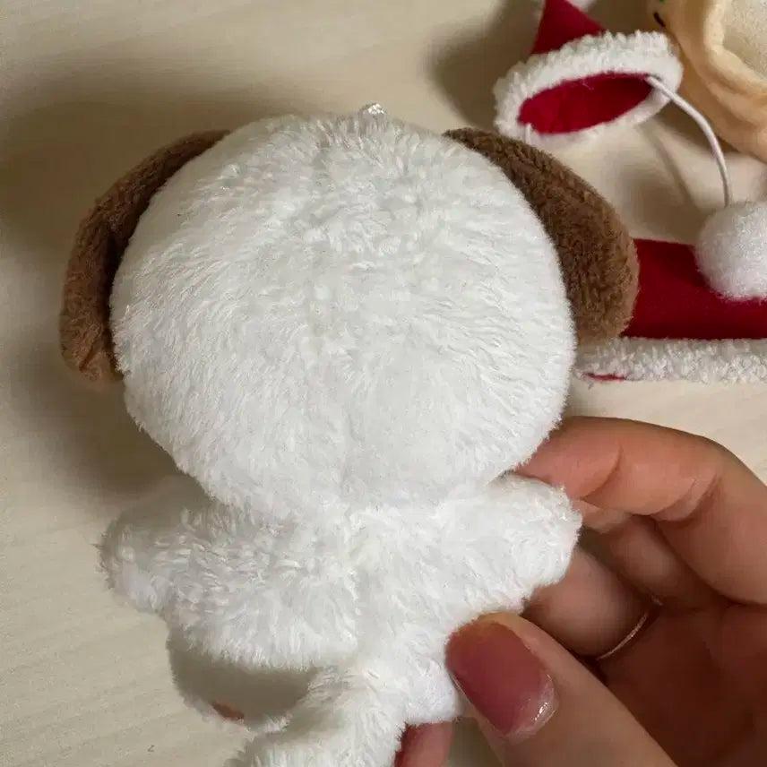 윤강쥐 옷포함 데이식스 윤도운 도운 인형 10cm