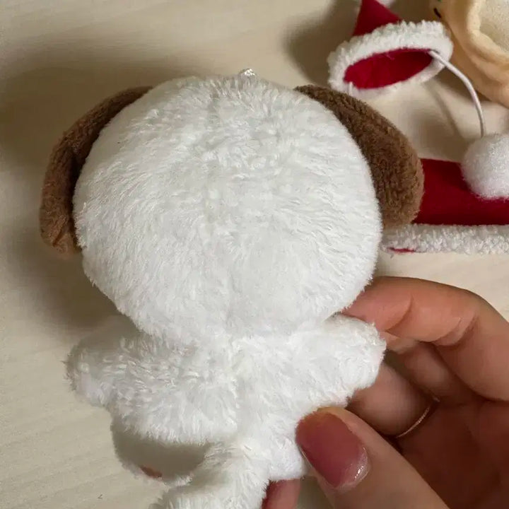 윤강쥐 옷포함 데이식스 윤도운 도운 인형 10cm