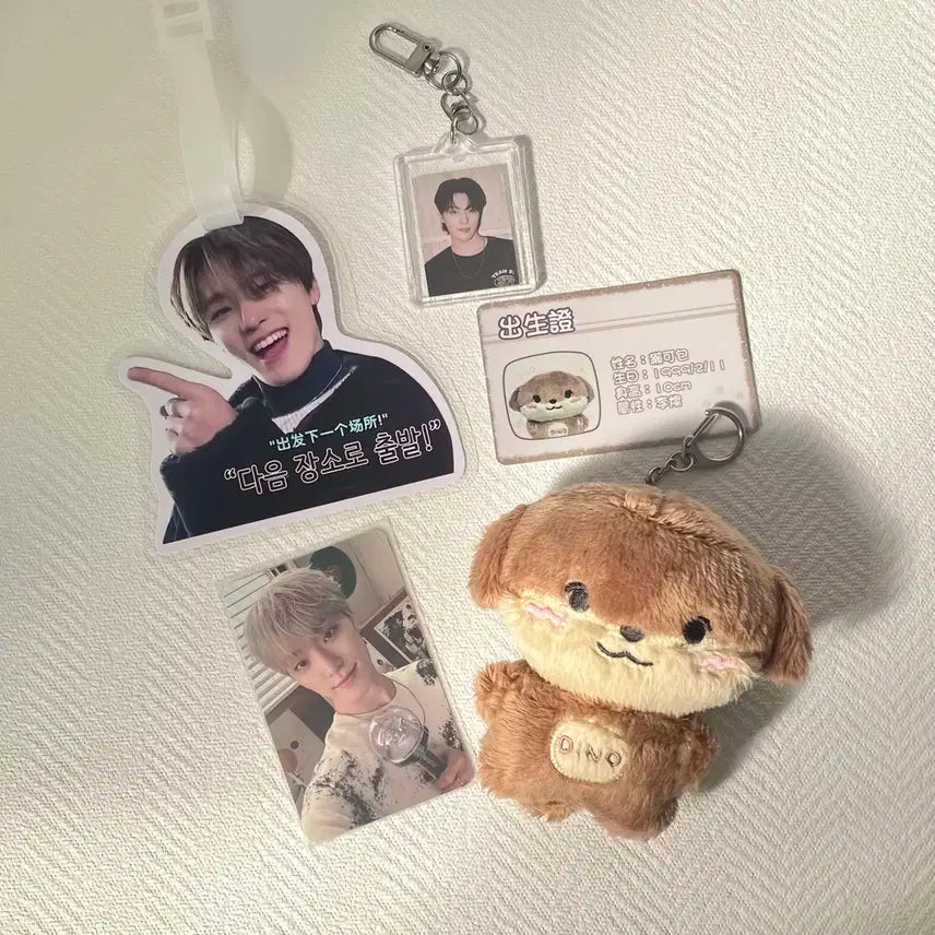 세븐틴 디노 포카+인형 +증사+비겅굿 굿즈