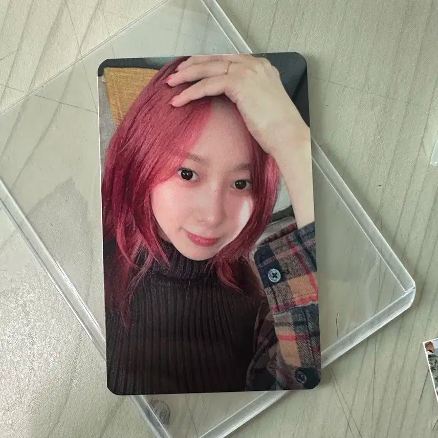 에스파 더티워크 지젤 인터아시아 럭드,에버라인 팬사