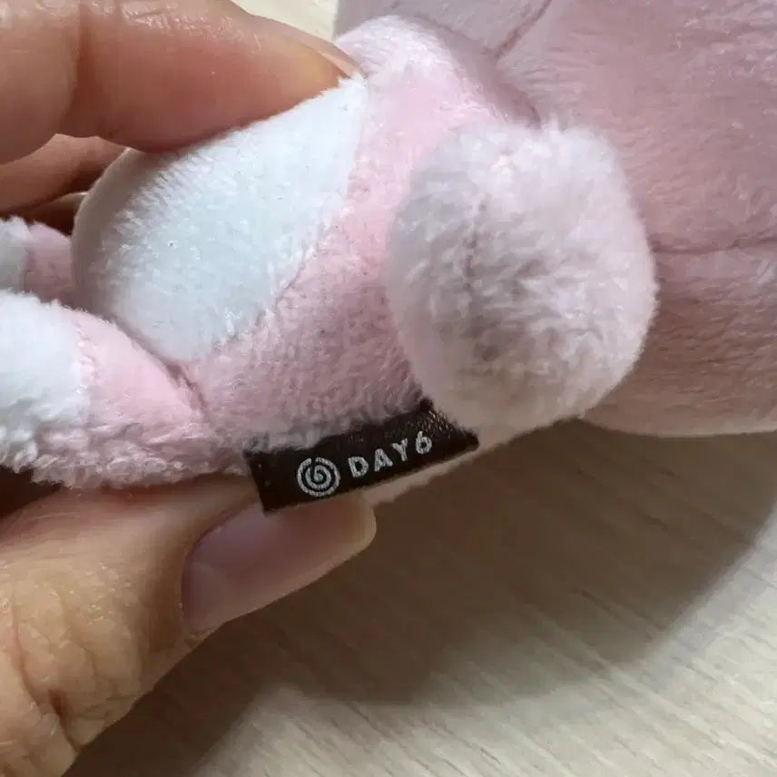 데이식스 데니멀즈 필끼20