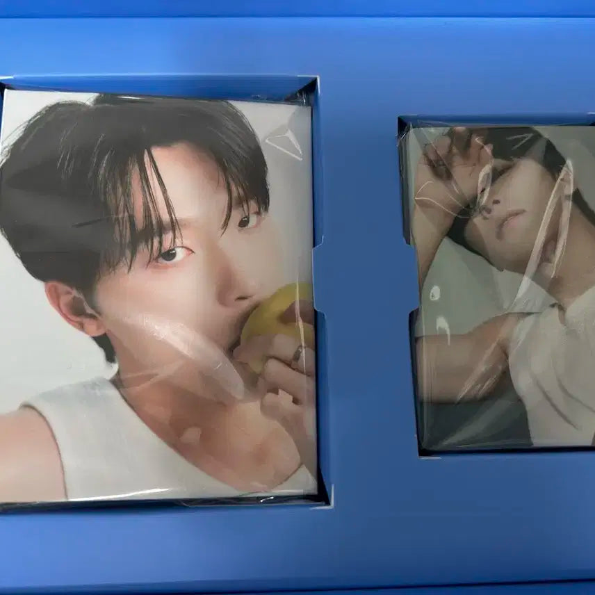세븐틴 디노 캐럿반 | 세븐틴 라잇히얼