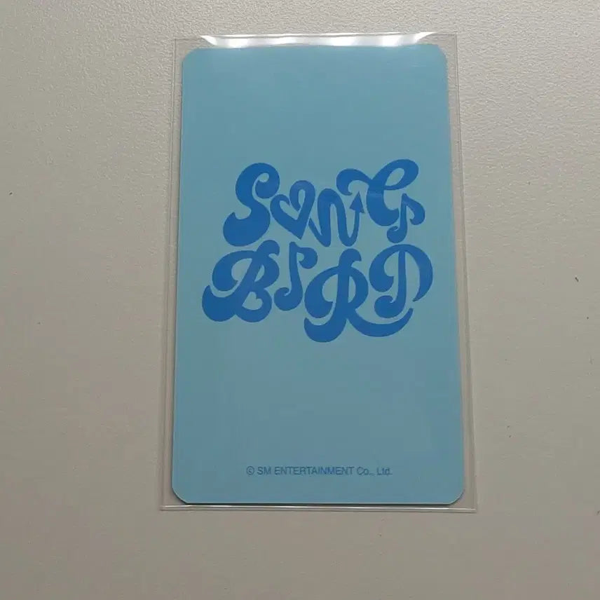 리쿠 송버드 올엠디 포카 양도
