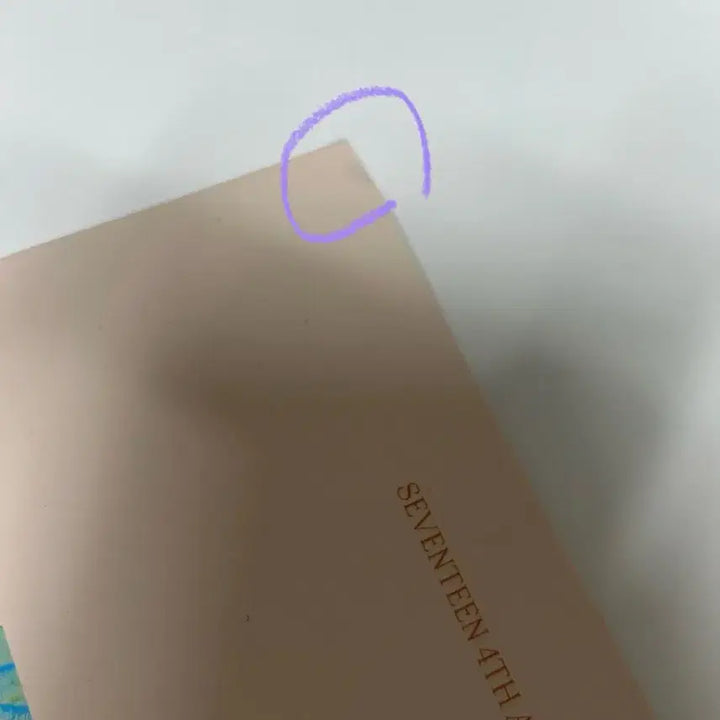 세븐틴 원우 페더썬 캐럿반