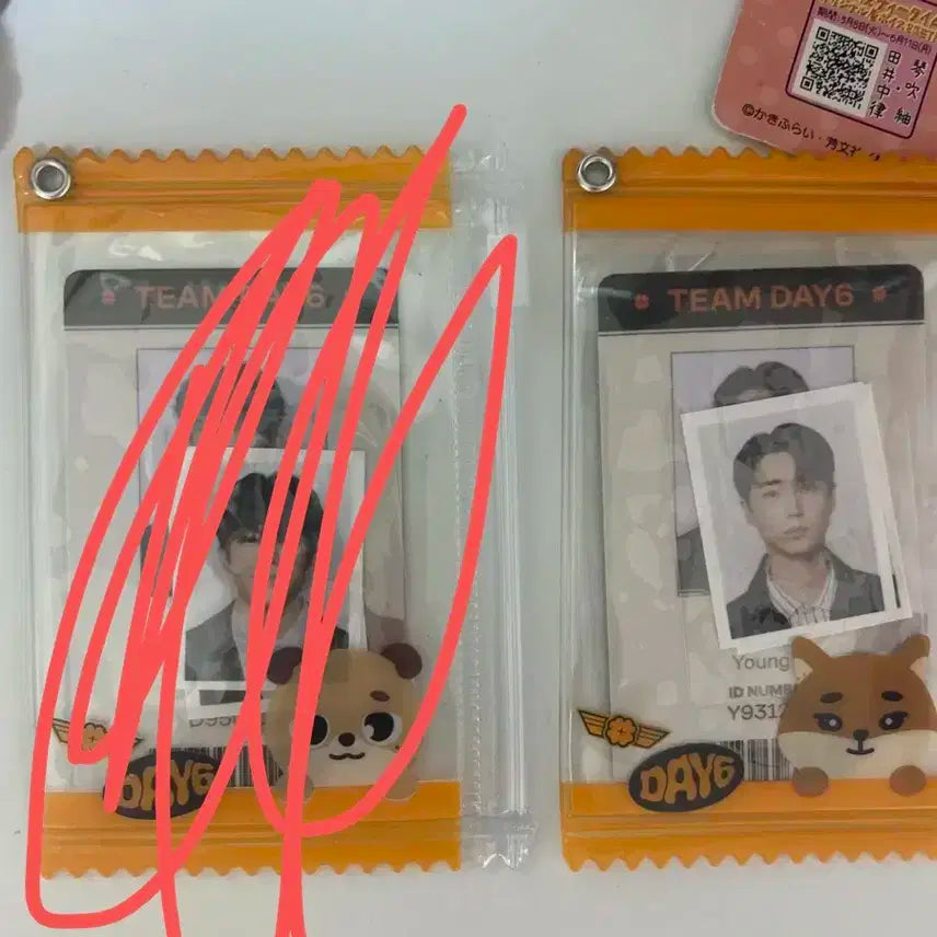 데이식스 도운 영케이 증사 데니멀즈