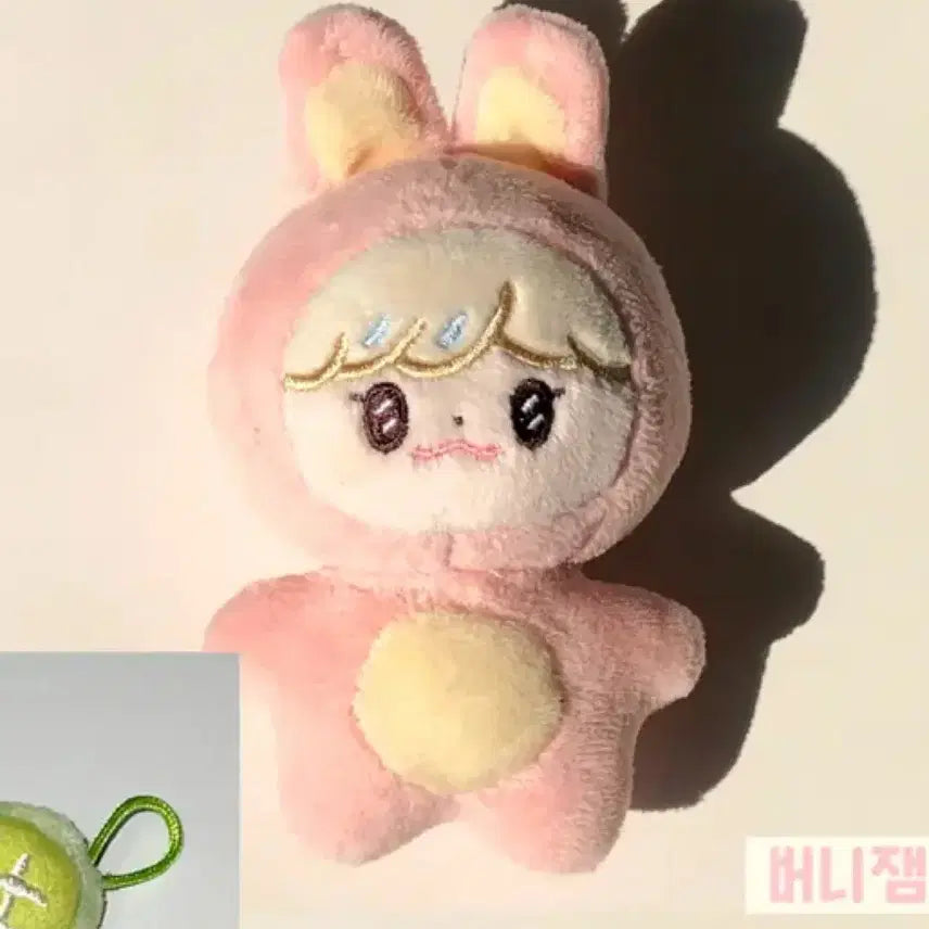 버니잼 양도합니다!!