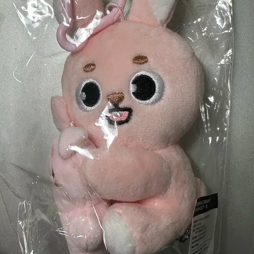 데이식스 데니멀즈 마그넷 나안아 세트 필