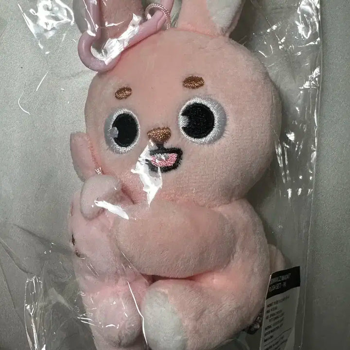 데이식스 데니멀즈 마그넷 나안아 세트 필