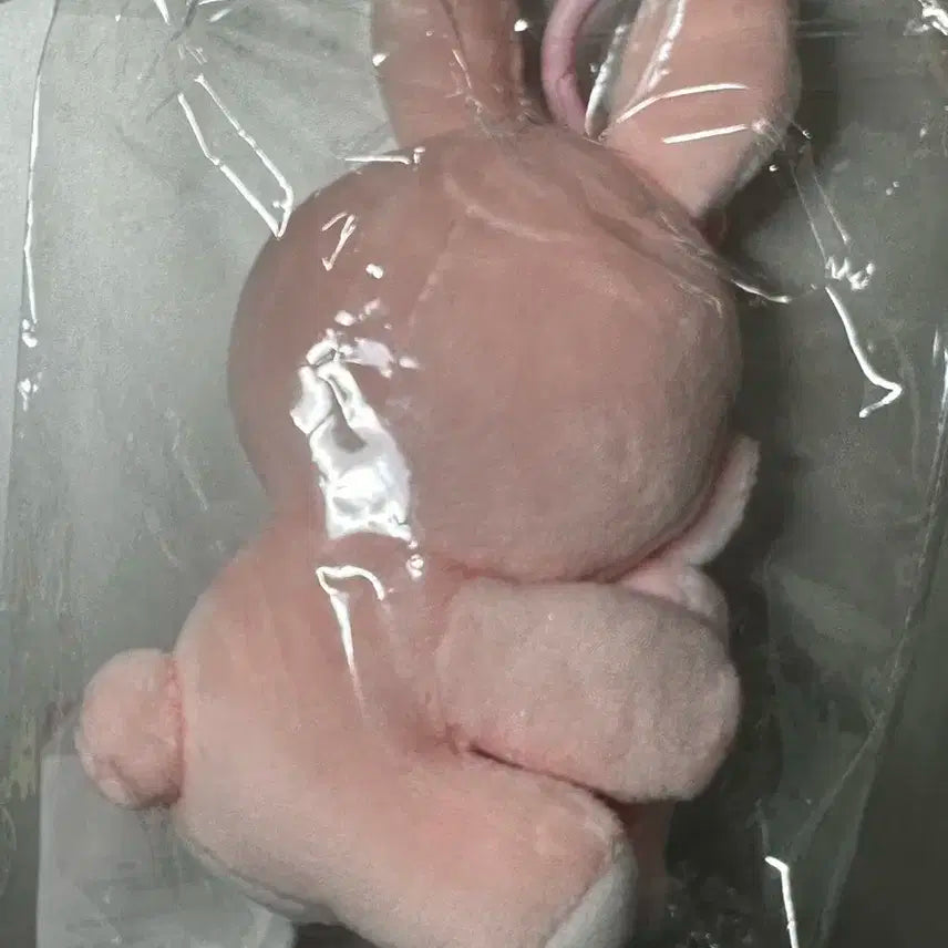 데이식스 데니멀즈 마그넷 나안아 세트 필