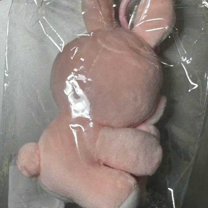 데이식스 데니멀즈 마그넷 나안아 세트 필