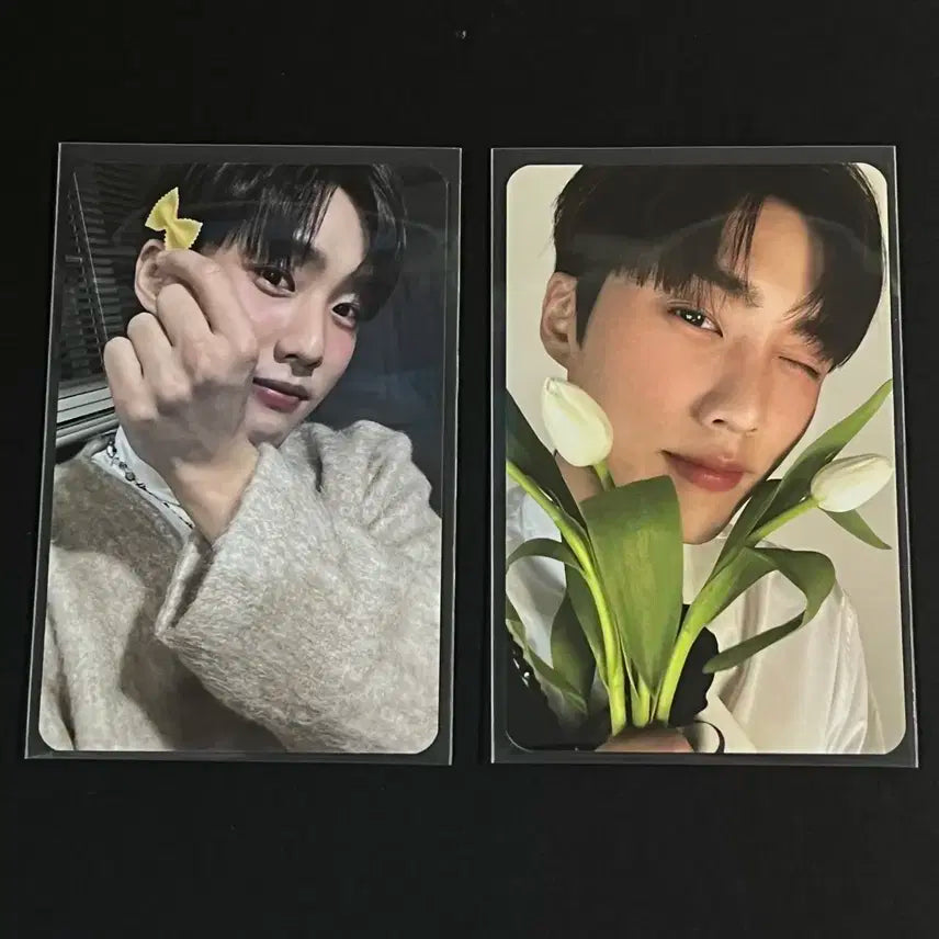 더보이즈 러브레터 포카 제이콥 일괄