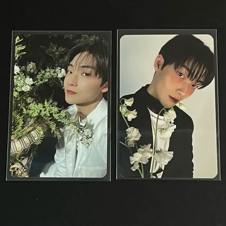 더보이즈 러브레터 포카 케빈 일괄