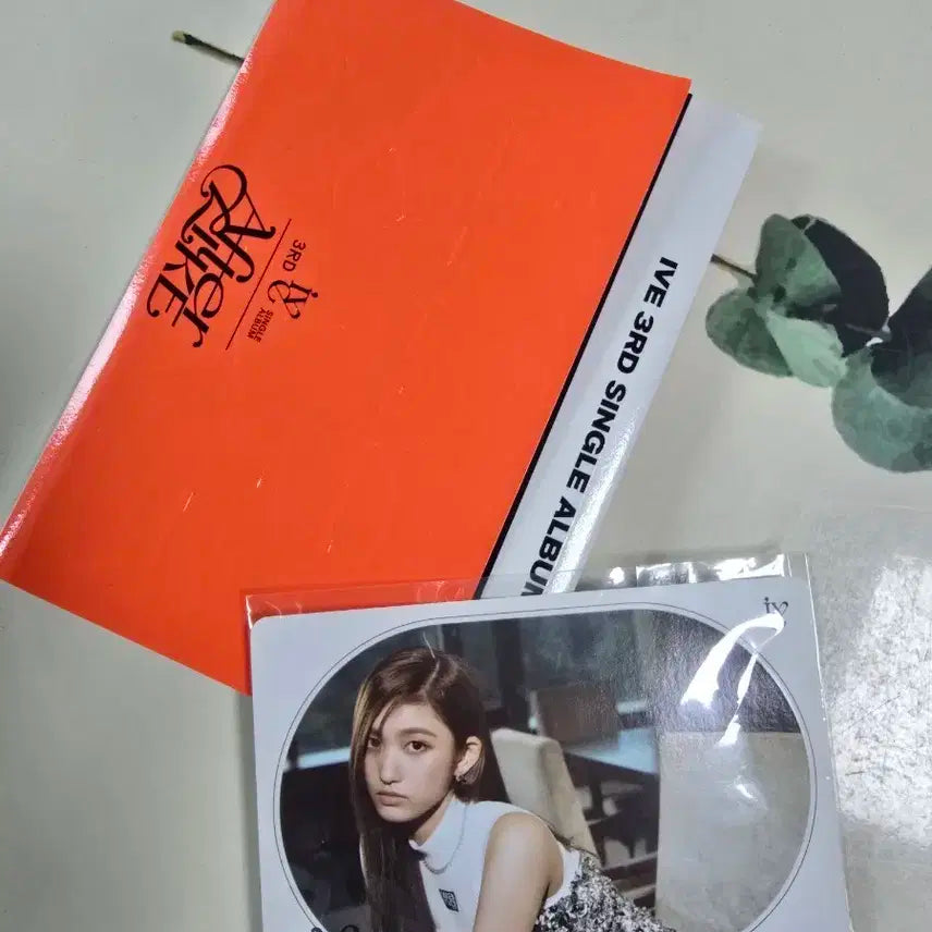아이브 애프터라이크 개봉앨범