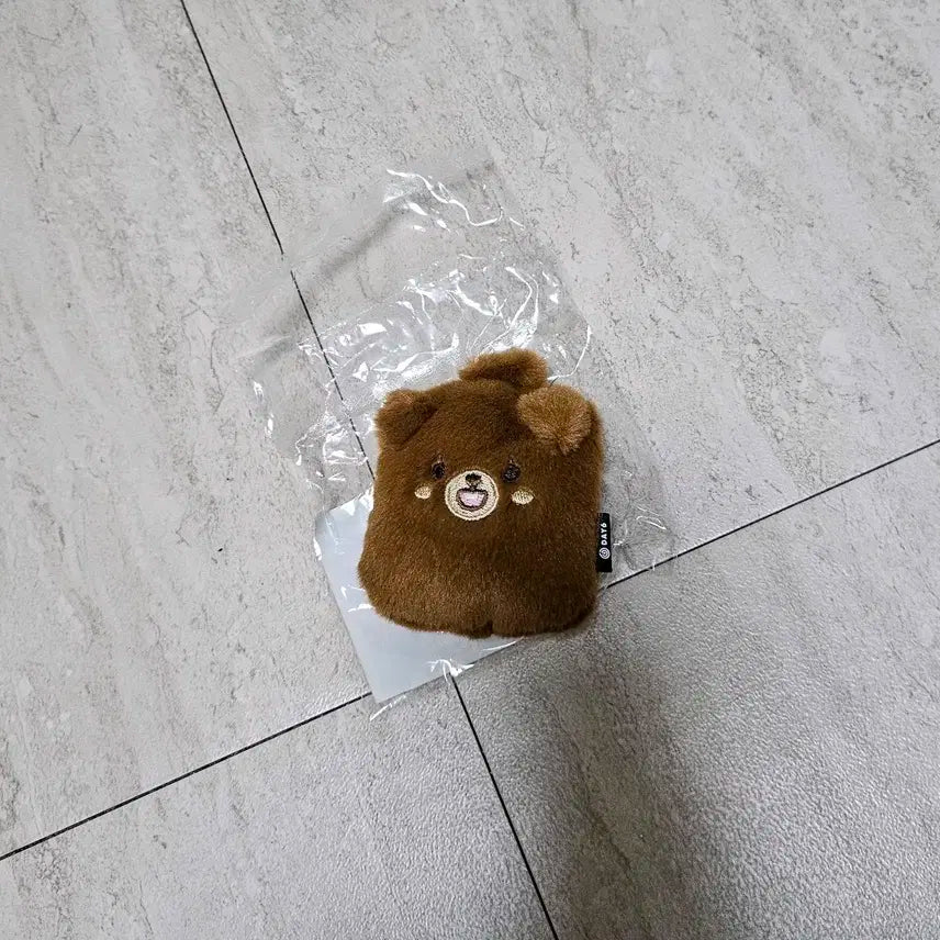 데이식스 클콘MD 아이디홀더 방