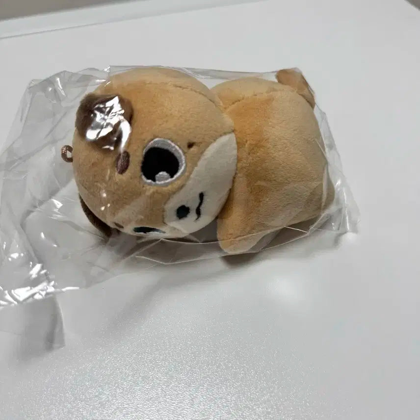 데니멀즈 손난로 돈