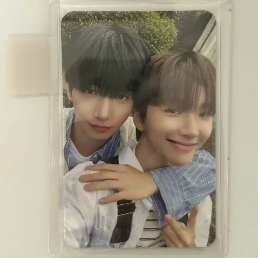 보넥도 운학 명재현 운명즈 유닛 포카 판매