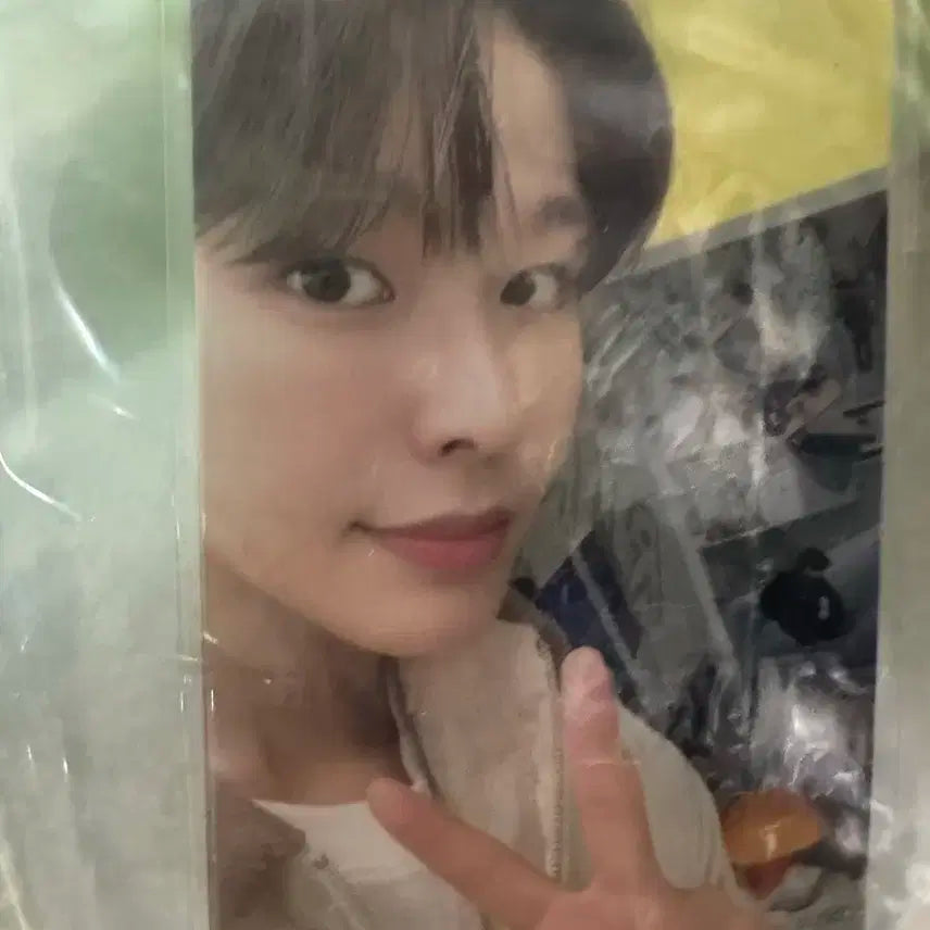 위츄 쿠션 리쿠 포카
