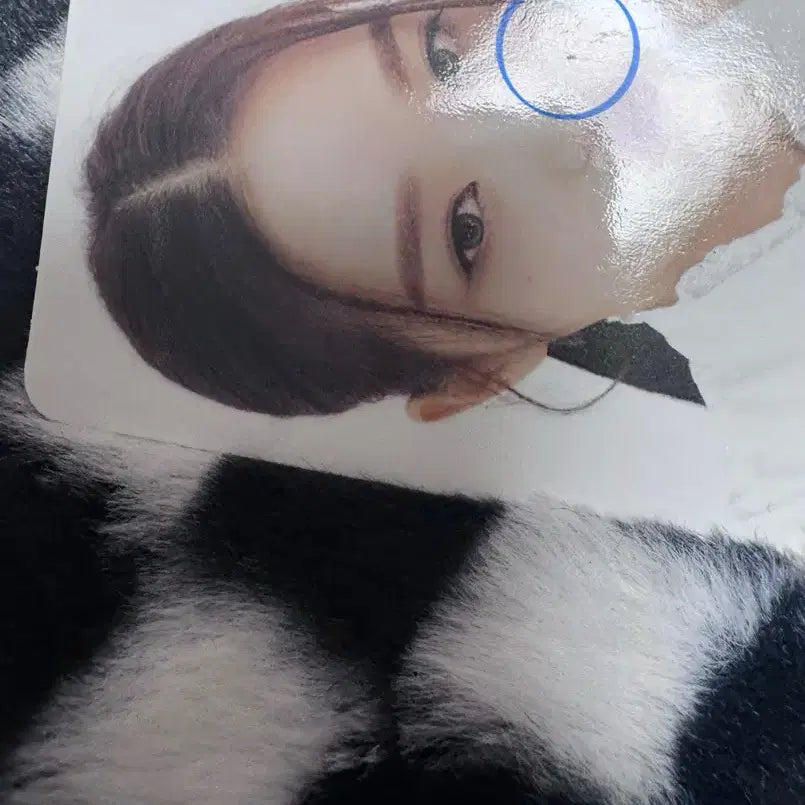 [판매] 아이브 장원영 일레븐 앨범 ver.2