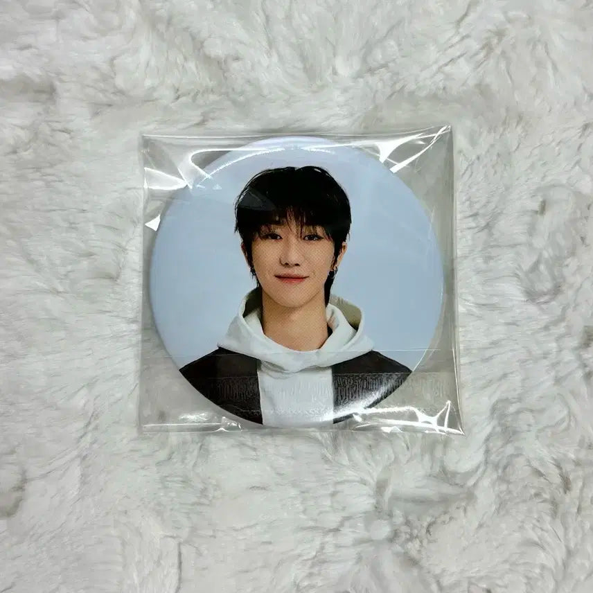 세븐틴 캐랜 캐럿랜드 디에잇 캔뱃지 양도 판매