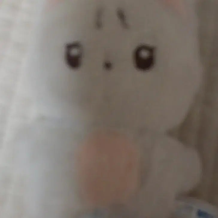 더보이즈 뉴 차니냥 인형 양도