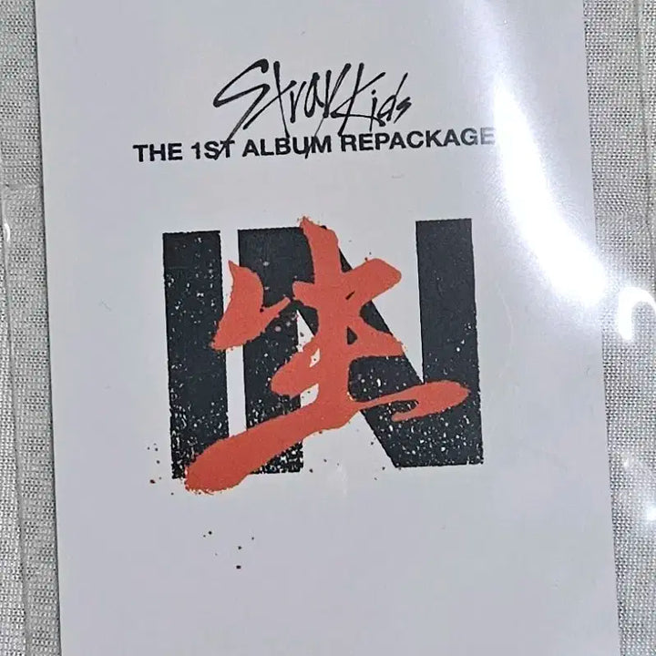스트레이키즈 리노 인생 포카
