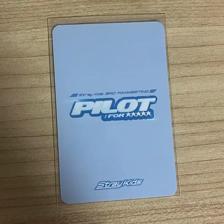 필릭스 포카 파일럿 집샵 이용복 스키즈