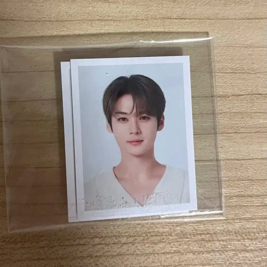 리노 네시픽 증사 증명사진