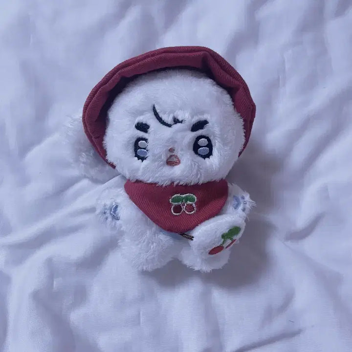 세븐틴 에스쿱스 10cm 인형 롭따뚜 양도, 판매