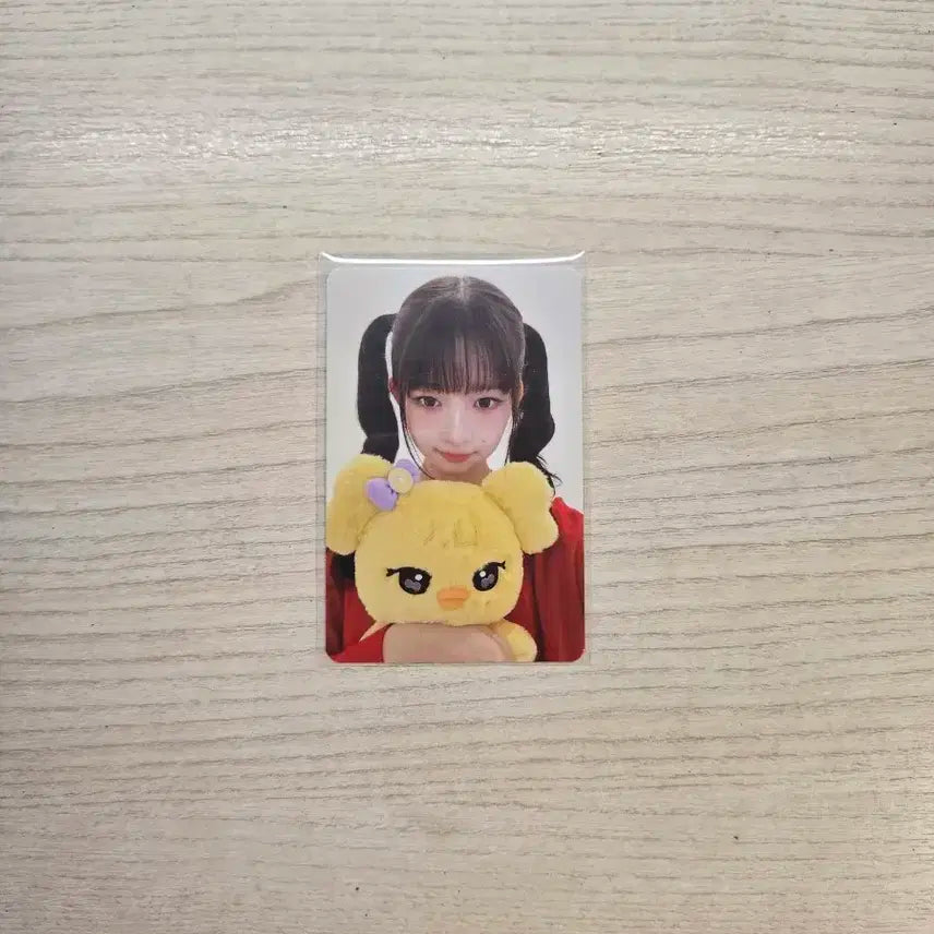 아이브 레이 포카 판매