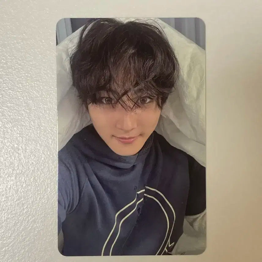 엔하이픈 데이드림 정원 포카