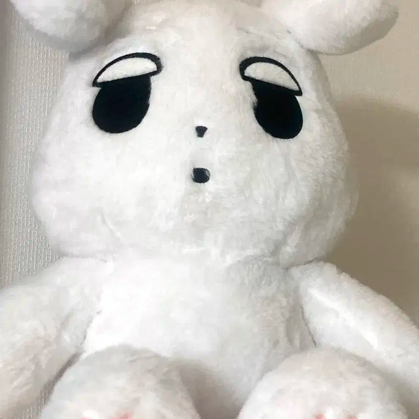 에스파 윈터 인형 대왕 직직이 양도