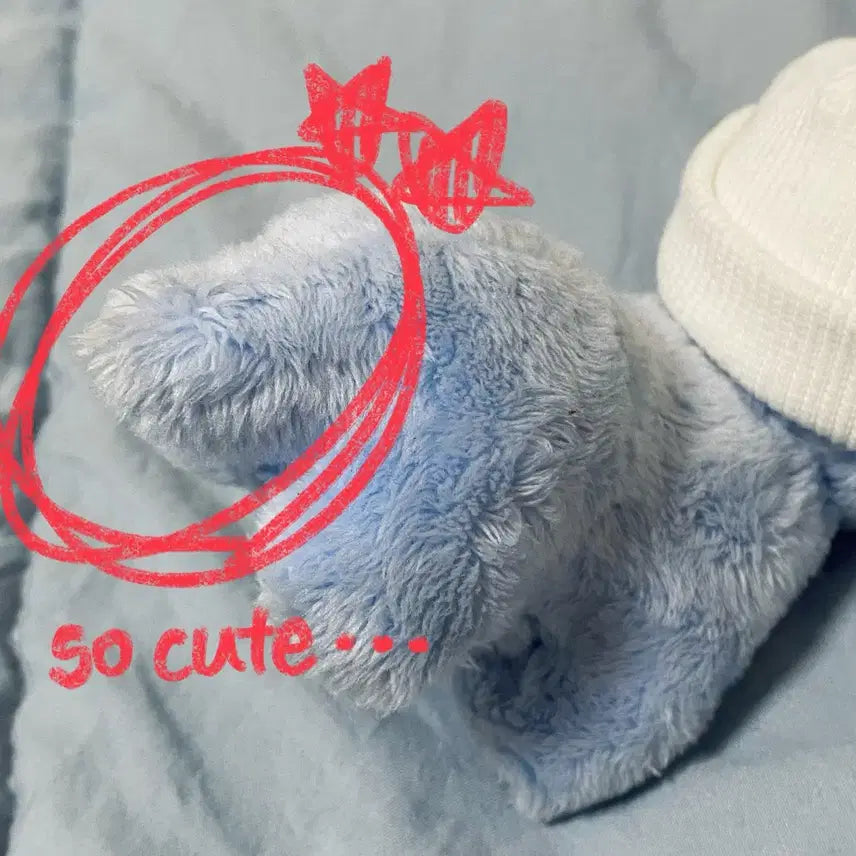 라이즈 앤톤 인형 앤토뇽 양도