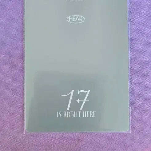 세븐틴 정한 앨범 포토카드
