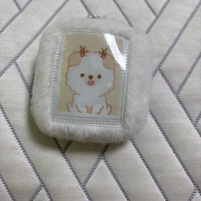 쁘띠멀즈 아이디 홀더