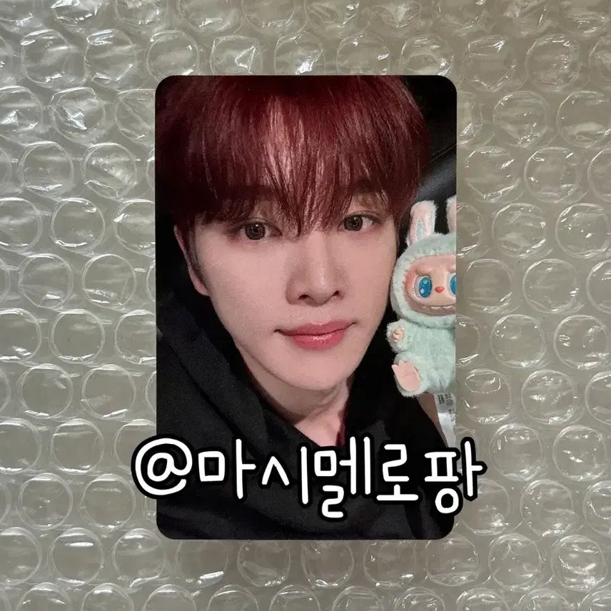 라이즈 미니레코드 럭드 럭키드로우 성찬 포카 포토카드 odyssey
