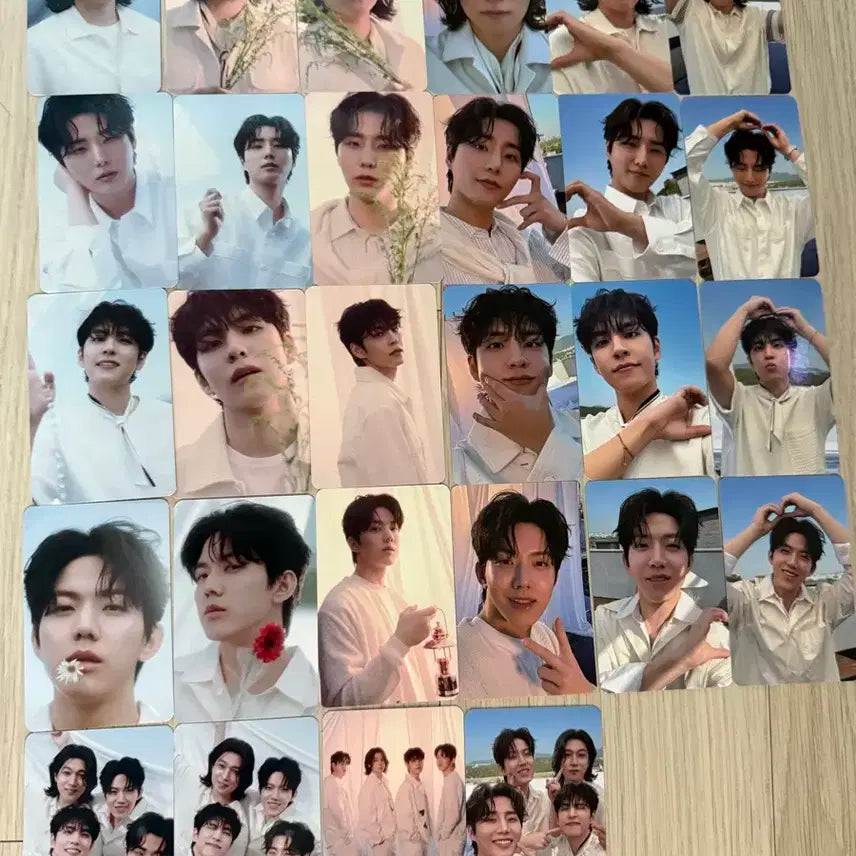 데이식스 트레카 드볼 일괄