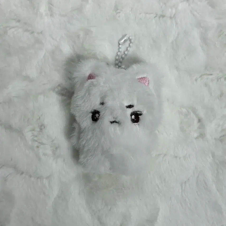 세븐틴 준 문준휘 인형 양도 판매