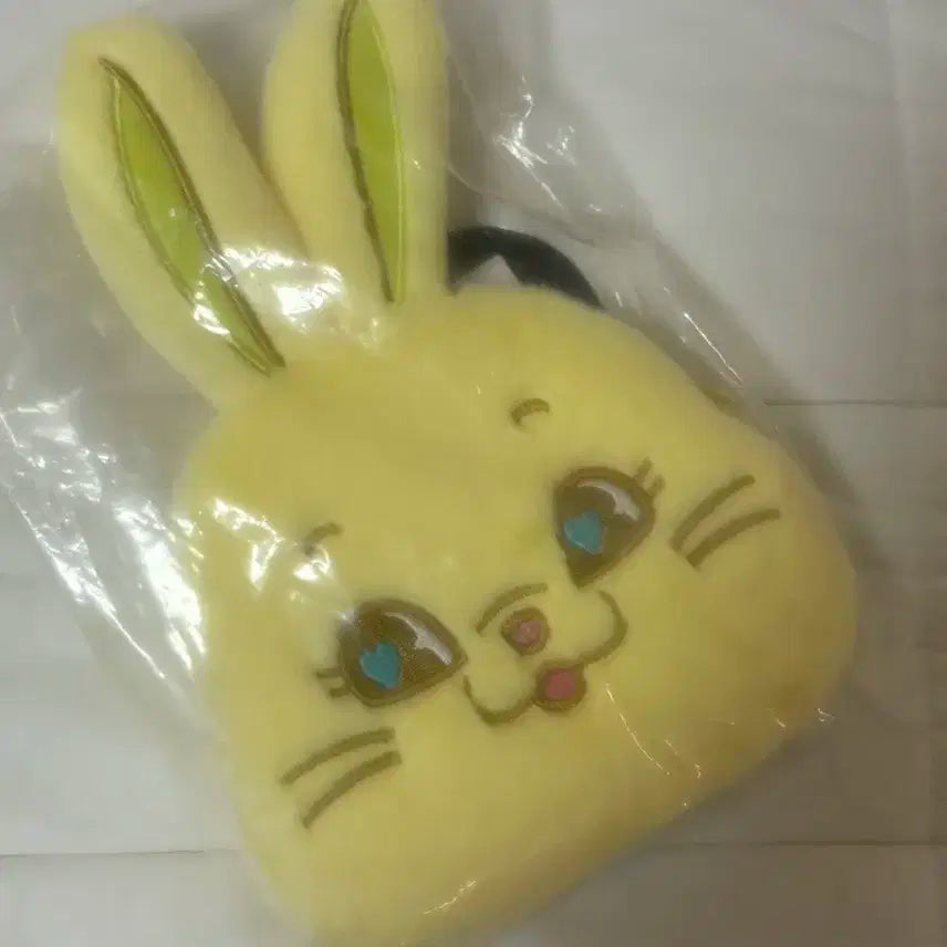뉴진스 파우치