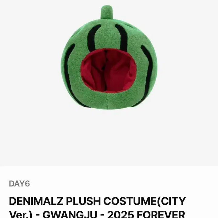 day6 데이식스 데니멀즈 수박옷 인형옷 판매