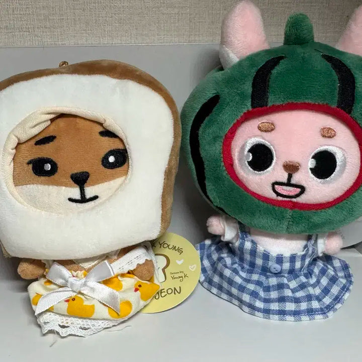 day6 데이식스 데니멀즈 수박옷 인형옷 판매