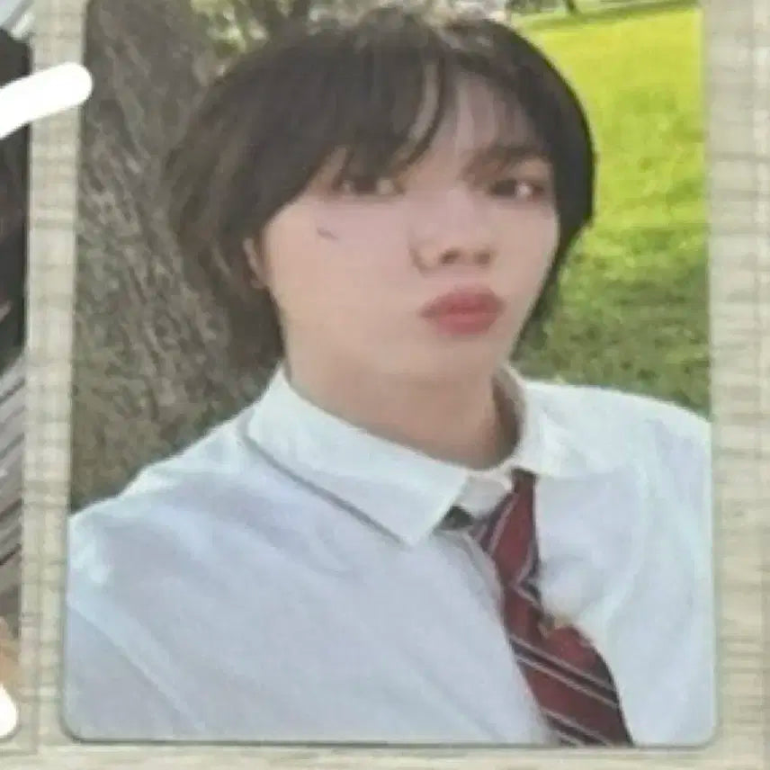 성호 엠투유 교복 미공포 포카 보이넥스트도어 박성호