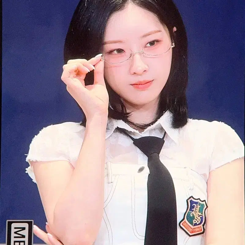아르테미스 하슬 싸인폴라