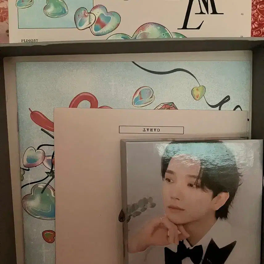 세븐틴 캐럿반