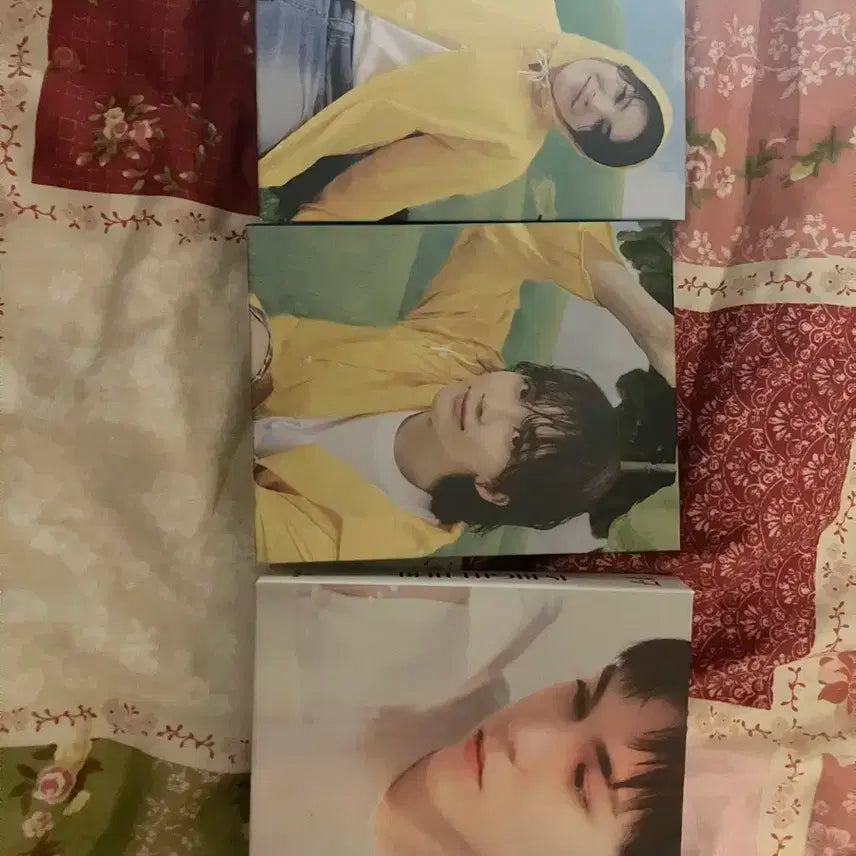 세븐틴 캐럿반
