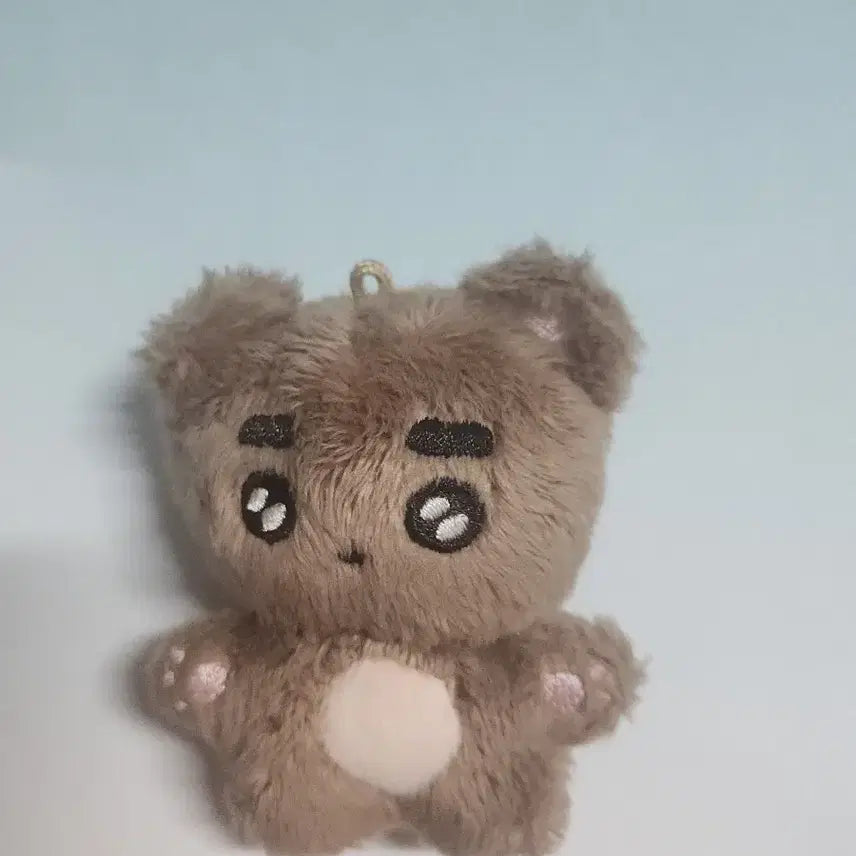 데이식스 한입식스 박곰돌