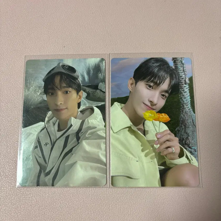 세븐틴 도겸 섹터 Sector17 포카 일괄 양도