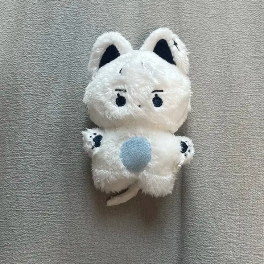 더보이즈 뉴 인형 콩짜니