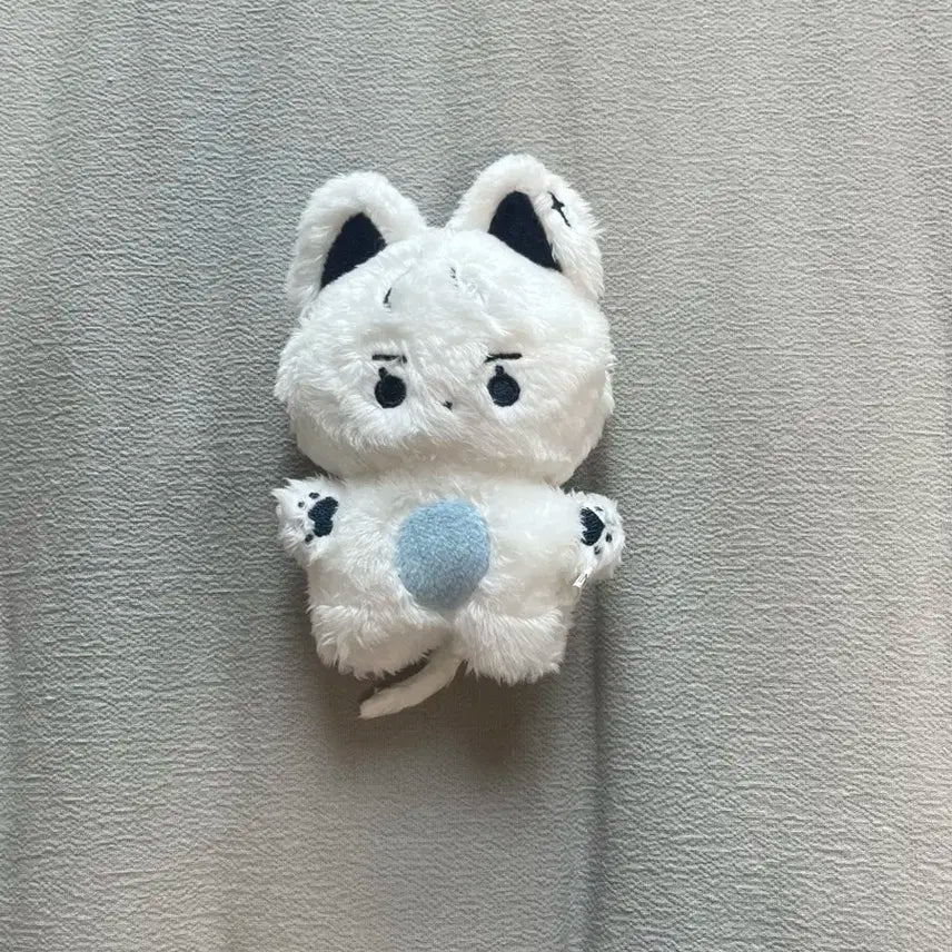 더보이즈 뉴 인형 콩짜니